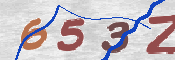 この文字を入力してください