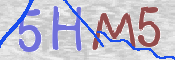 この文字を入力してください