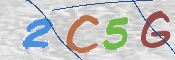 この文字を入力してください