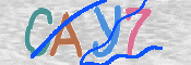 この文字を入力してください