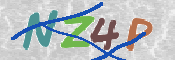 この文字を入力してください