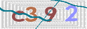 この文字を入力してください