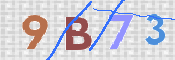この文字を入力してください