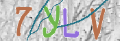 この文字を入力してください