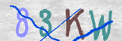 この文字を入力してください