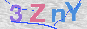 この文字を入力してください