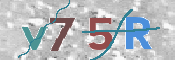 この文字を入力してください