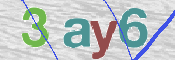 この文字を入力してください