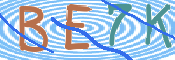 この文字を入力してください