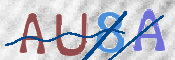 この文字を入力してください
