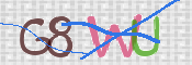 この文字を入力してください