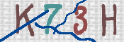 この文字を入力してください