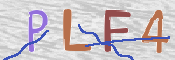 この文字を入力してください
