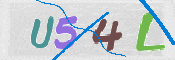 この文字を入力してください
