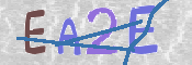 この文字を入力してください