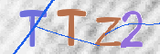 この文字を入力してください