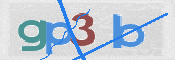 この文字を入力してください