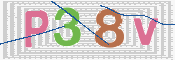 この文字を入力してください