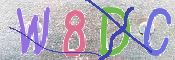 この文字を入力してください