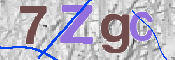 この文字を入力してください