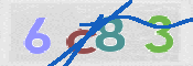 この文字を入力してください