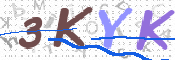 この文字を入力してください