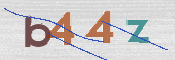 この文字を入力してください