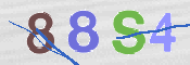 この文字を入力してください