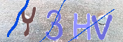 この文字を入力してください