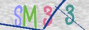 この文字を入力してください