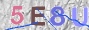 この文字を入力してください