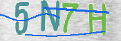 この文字を入力してください