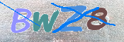 この文字を入力してください