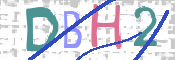 この文字を入力してください