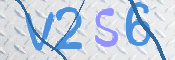 この文字を入力してください