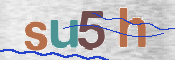 この文字を入力してください