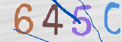 この文字を入力してください