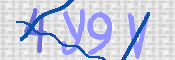 この文字を入力してください