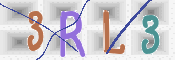 この文字を入力してください