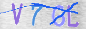 この文字を入力してください