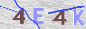 この文字を入力してください
