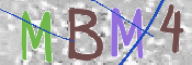 この文字を入力してください