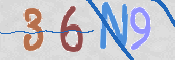 この文字を入力してください