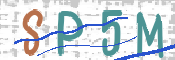 この文字を入力してください
