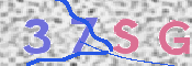 この文字を入力してください