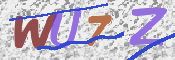 この文字を入力してください