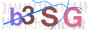 この文字を入力してください