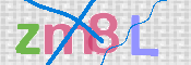 この文字を入力してください