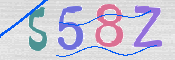 この文字を入力してください