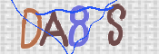 この文字を入力してください
